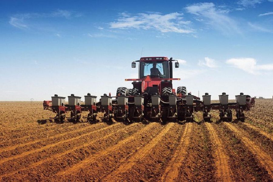 ديقاندارعا دەمەۋ استىقتى ولكە ءۇشىن اسا ماڭىزدى