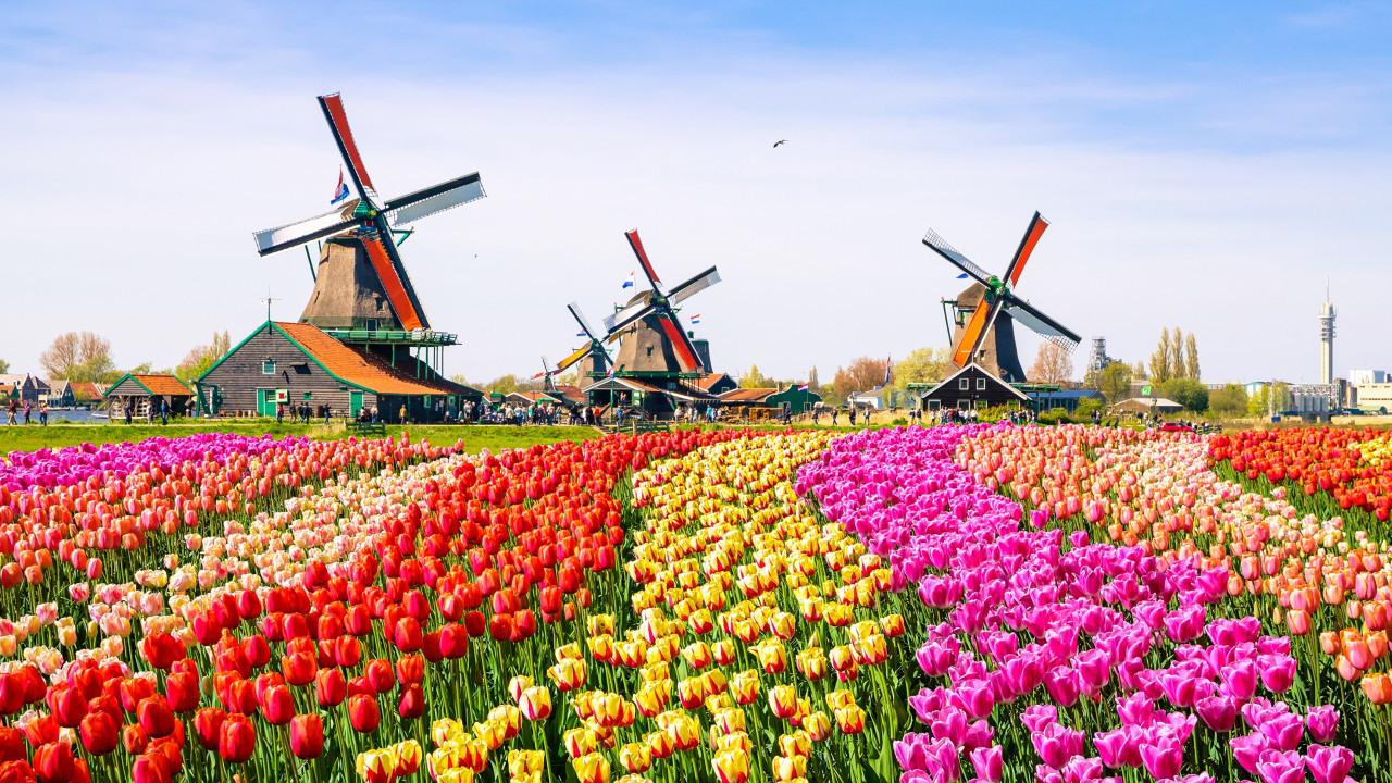 فەرمەرلەر تۋريستەرگە قىزعالداق القاپتارىنان سالەم جولدادى