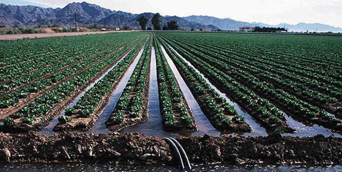 الماتى وبلىسى: سۋارمالى القاپتاردىڭ كولەمى ارتتى