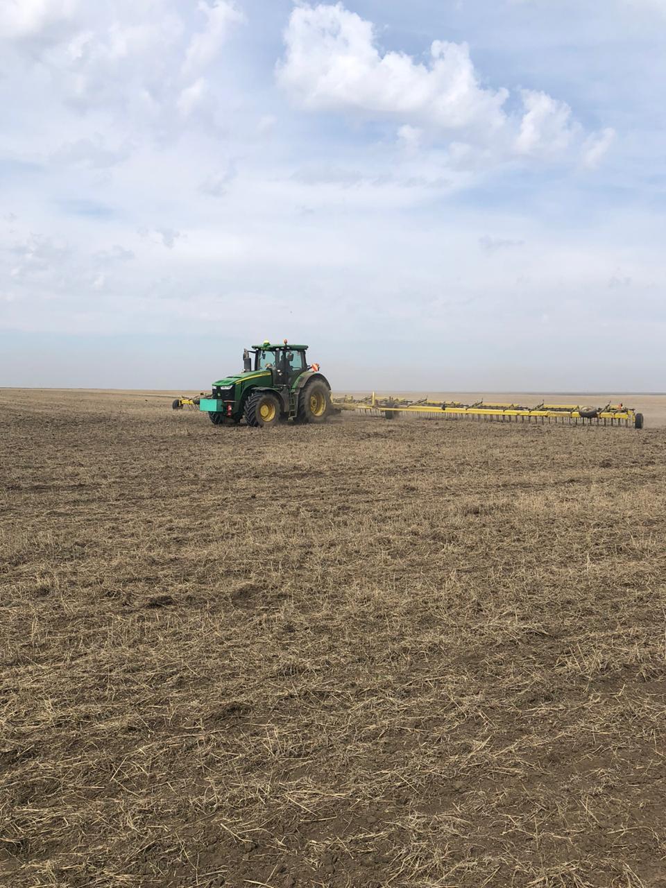 پاۆلودار وبلىسىندا كوكتەمگى ەگىستىك جۇمىستارى باستالدى