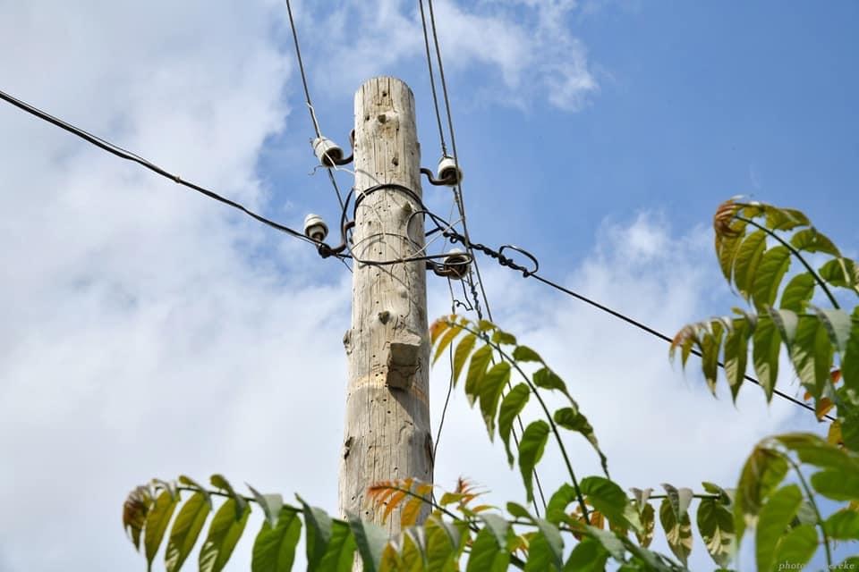 شىمكەنت: قايتپاس-1 شاعىن اۋدانىنا ەلەكتر جارىعى قاشان تارتىلادى؟