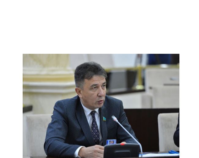 قازاقستان الەۋمەتتىك مەملەكەت ەكەنىن كورسەتتى