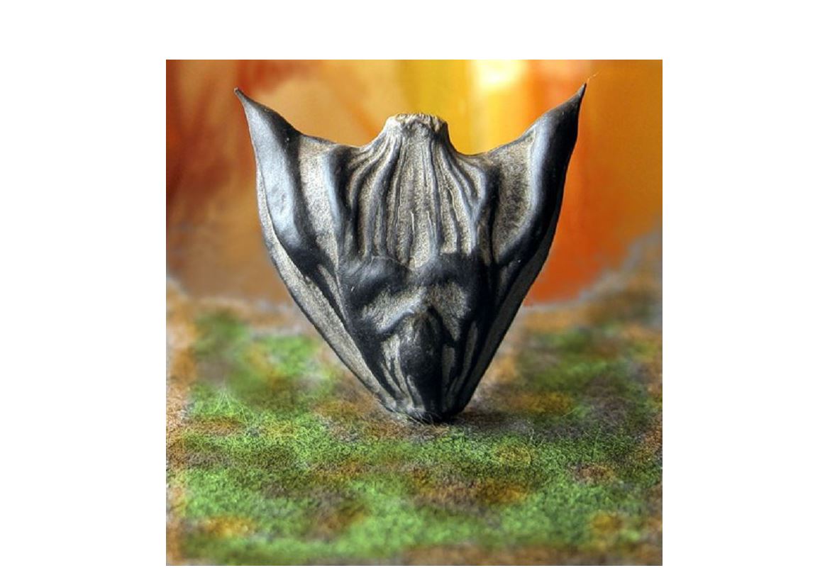 قاسيەتتى ءشۇيلىمنىڭ قۇدىرەتى