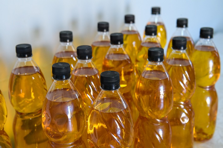 تالدىقورعاندا تاۋلىگىنە 500 توننا مايلى داقىل وڭدەيتىن زاۋىت اشىلدى