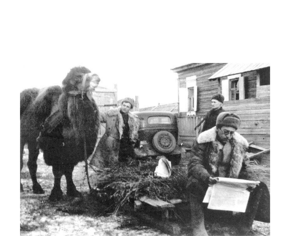 اسكەرگە «شاقىرىلعان» تۇيەلەر