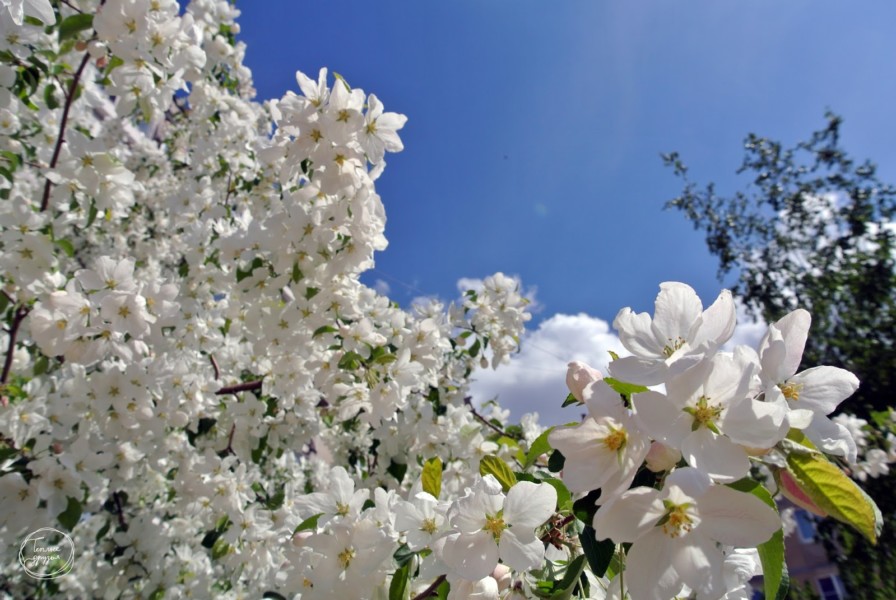 مامىر ايىندا اۋا رايى قانداي بولادى