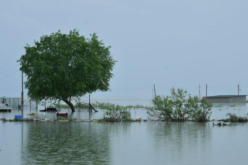 تۇركىستان: ماقتاارال اۋدانىندا سۋ باسقان 4 اۋىلدا 620 ءۇي ءب ۇلىندى