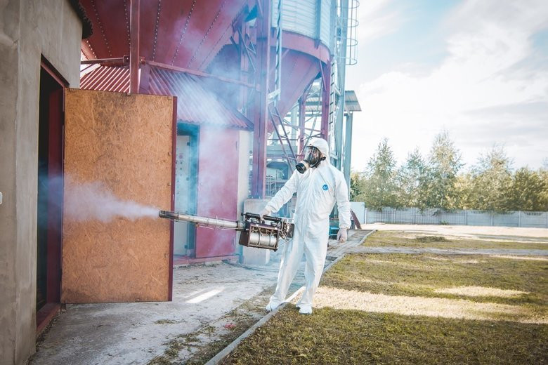 الماتىدا زيانكەستەرمەن كۇرەستىڭ كوكتەمگى ماۋسىمى ءجۇرىپ جاتىر