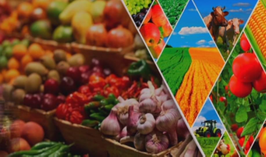 شىمكەنتتە ءۇش اي ىشىندە 4,9 ميلليارد تەڭگەنىڭ اۋىل شارۋاشىلىعى ءونىمى ءوندىرىلدى