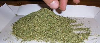 قىزىلوردا: ەسىرتكى ساقتاعان 14 ازامات انىقتالدى