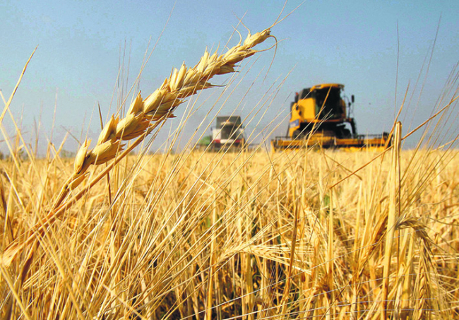 اقمولادا ىلعال جابۋ اياقتالدى