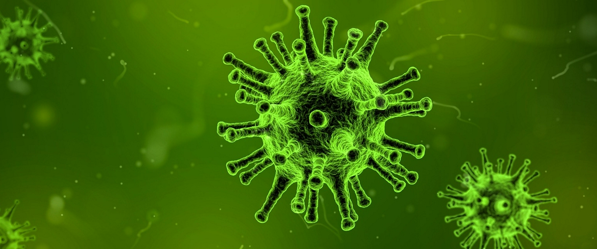 الەم ەلدەرى قالىپتى تىرشىلىگىنە ورالا باستادى