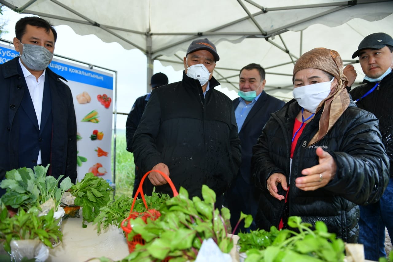 تولەبي اۋدانىندا ءبىر القاپتان 2-3 ءونىم الۋ بويىنشا 105 جوبا ىسكە اسىرىلۋدا