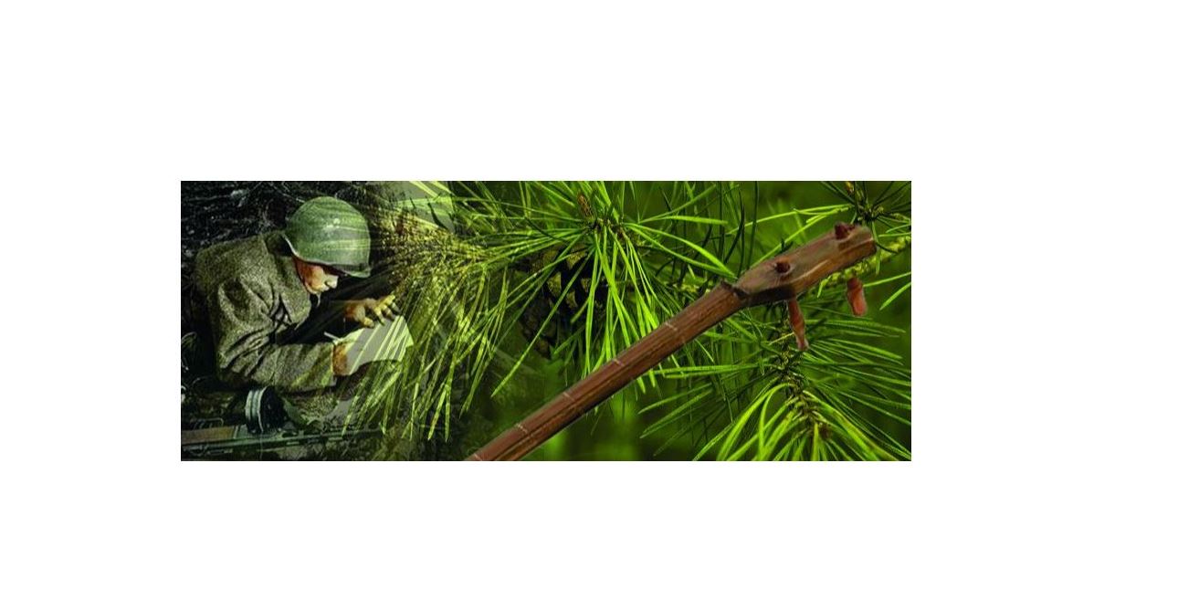 قاراعاي بۇتاعىنا ىلىنگەن دومبىرا