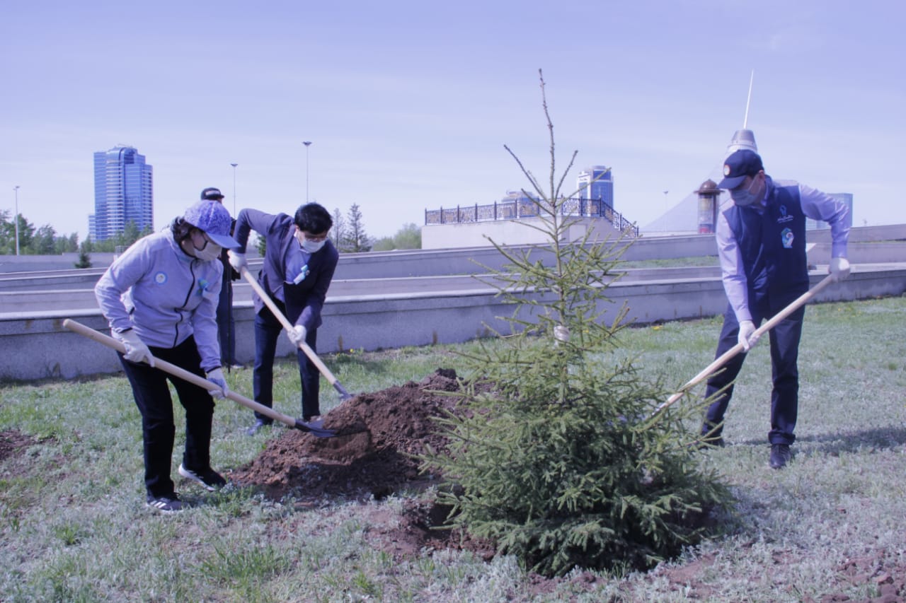 اقتوتى رايىمقۇلوۆا مەن التاي كولگىنوۆ تال ەكتى