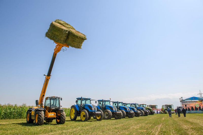 قيىندىقتى وڭايلاتقان ونلاين