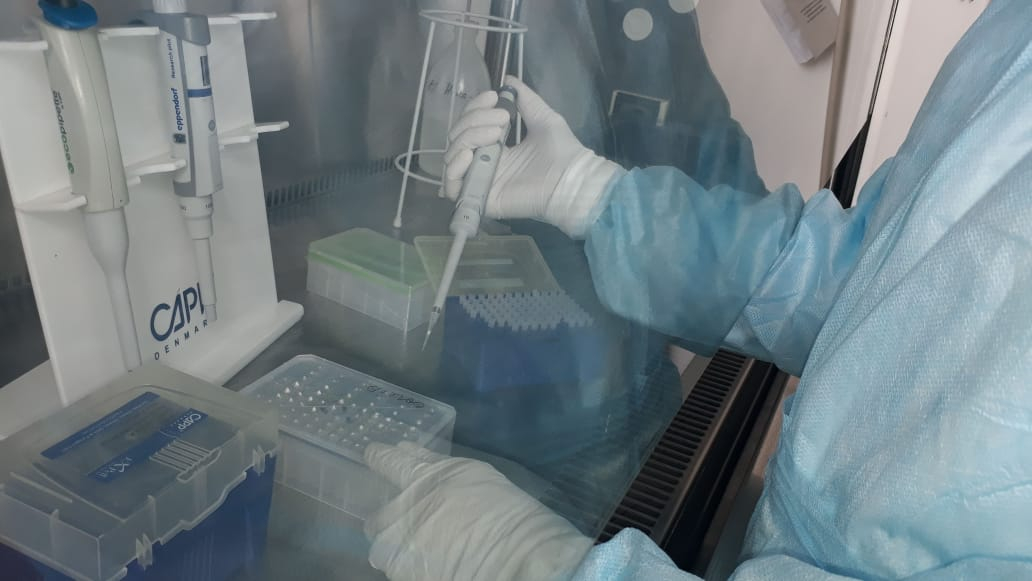 تۇركىستان وبلىسى: COVID-19 ينفەكتسياسىن ەرتە انىقتايتىن ءۇشىنشى ۆيرۋسولوگيالىق زەرتحانا اشىلدى