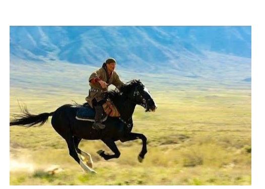 تۇياعىنىڭ ىزىنە تاريح تۇنعان