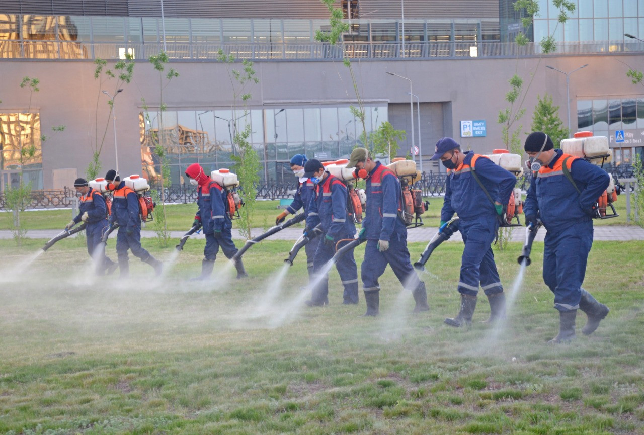 ەلوردادا 230 ملن شارشى مەتردەن استام اۋماق ماساعا قارسى وڭدەۋدەن ءوتتى