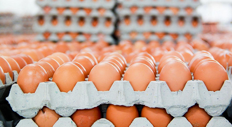 شىعىنعا ۇشىرادىق دەپ دابىل قاققان قۇس فابريكاسى مەملەكەتتەن 5 ملرد تەڭگە سۋبسيديا العان