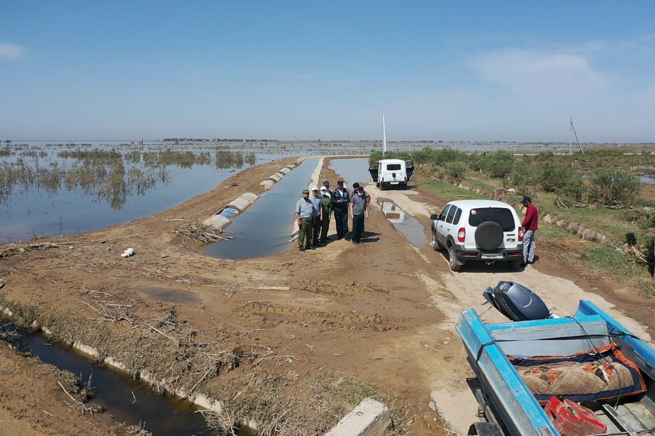تۇركىستان: سارقىندى سۋدان بالىق اۋلاۋعا تىيىم سالىندى
