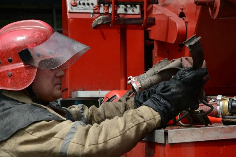 اقمولادا ورمان ءورتىنىڭ الدىن-الۋ جۇمىستارى جۇرگىزىلۋدە