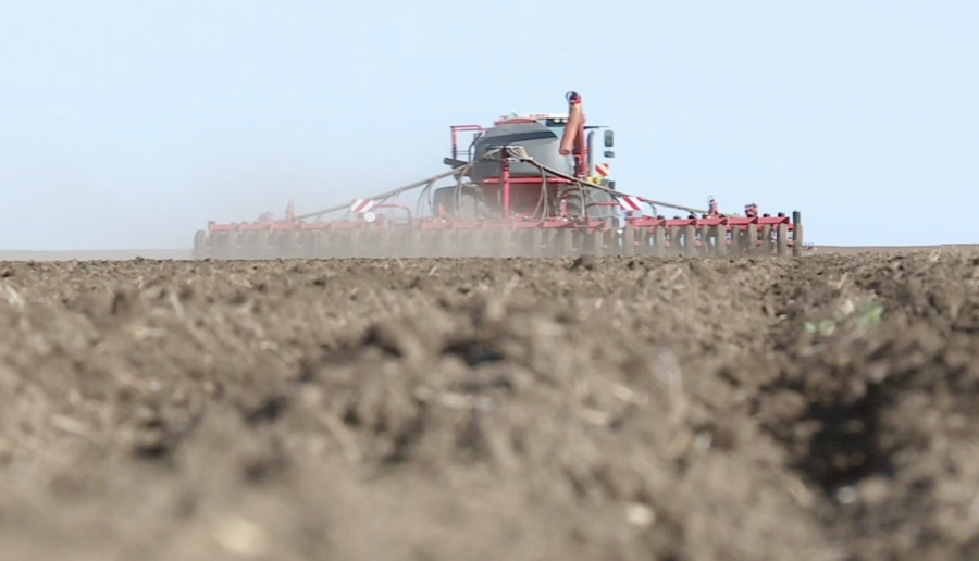 اتىراۋلىق ديقاندار جەم مەن كوكونىس داقىلدارىن ەگۋدى كوبەيتتى