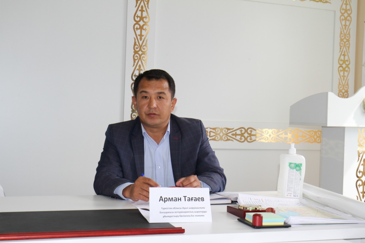 ماقتاارال: مال ولەكسەلەرىنىڭ كوپشىلىگى وزبەكستاننان اعىپ كەلگەنى انىقتالدى