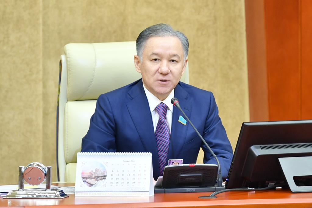 ن.نىعماتۋلين: ءماجىلىس دەپۋتاتتارى ازىرلەگەن زاڭ جوبالارىنىڭ سانى ارتتى