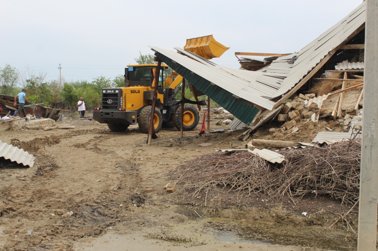 ماقتاارالداعى سۋدان قۇرعاتىلعان اۋىلدار كۇل-قوقىستان تازارتىلۋدا