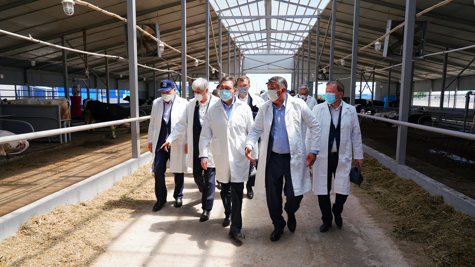 پرەمەر-مينيستر جەتىسۋداعى جوبالارعا باعا بەردى