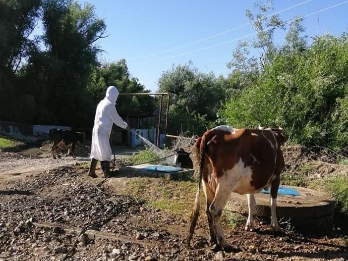 كەنەگە قارسى زالالسىزداندىرۋ جۇمىستارى قارقىندى جۇرۋدە
