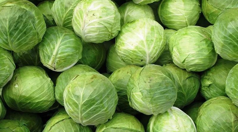 قىرىققابات داۋى: ديقاندارعا  2 ملرد تەڭگە ءبولىنۋى مۇمكىن