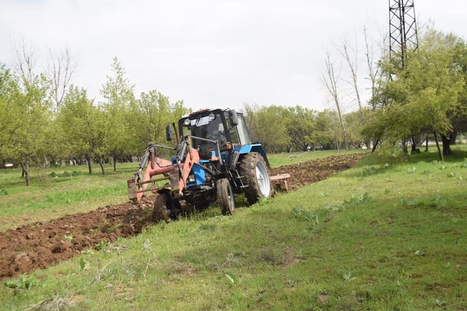 شىمكەنتتە مىڭ شاقىرىم اۋماققا ورتكە قارسى مينەرالدى جولاق سالىندى