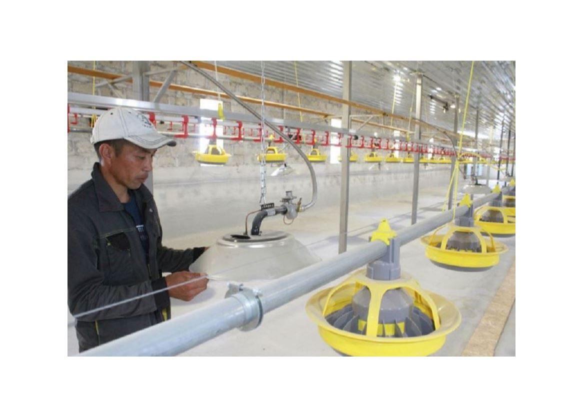 ىلكىمدى ىزدەنىس قانا ورگە سۇيرەيدى