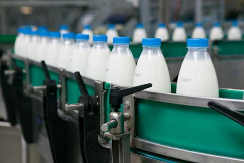 شالعايداعى اۋىلدا ءسۇت زاۋىتى اشىلدى