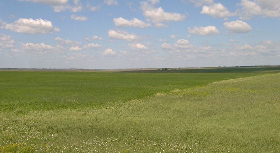 جەر كوپ, جايىلىم جوق