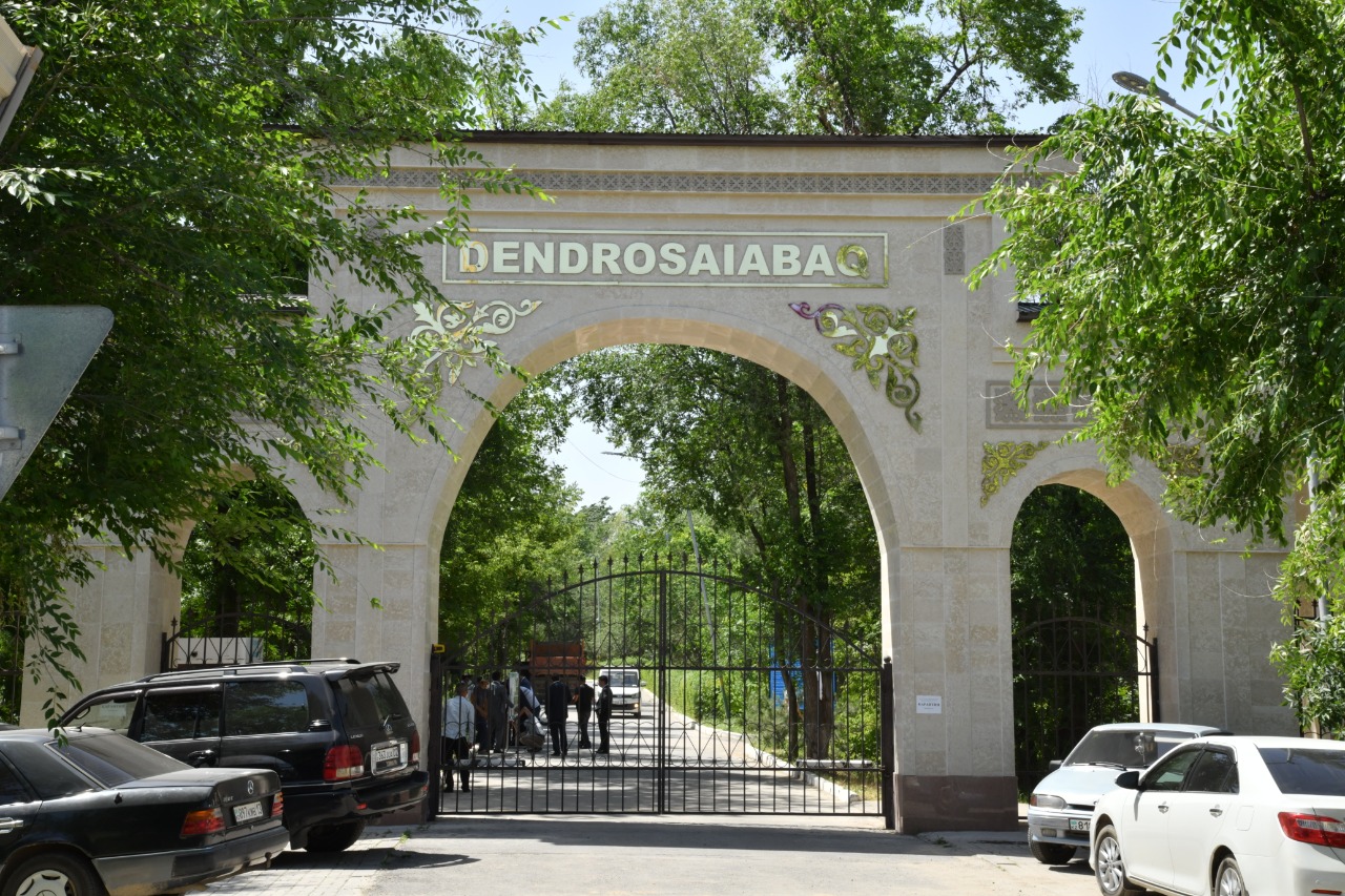 شىمكەنتتەگى دەندروساياباقتا 6,5 شاقىرىم ۆەلوجول سالىنادى