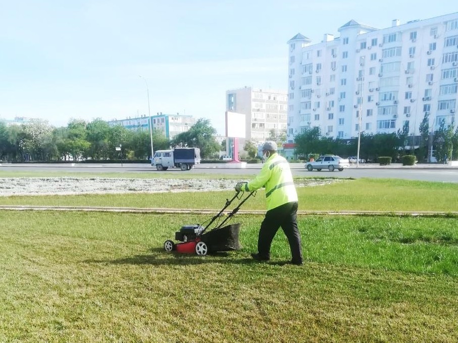 اقتاۋدا 50 مىڭ شارشى مەتر اۋماققا كوگال وتىرعىزىلادى