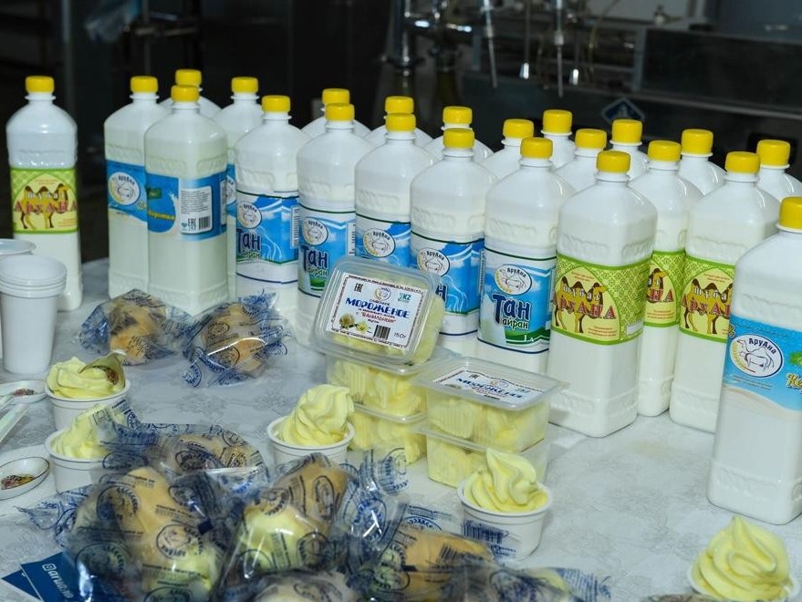 قىزىلوردا وبلىسى: شيەلىدە 600-دەن استام جۇمىس ورنى اشىلادى