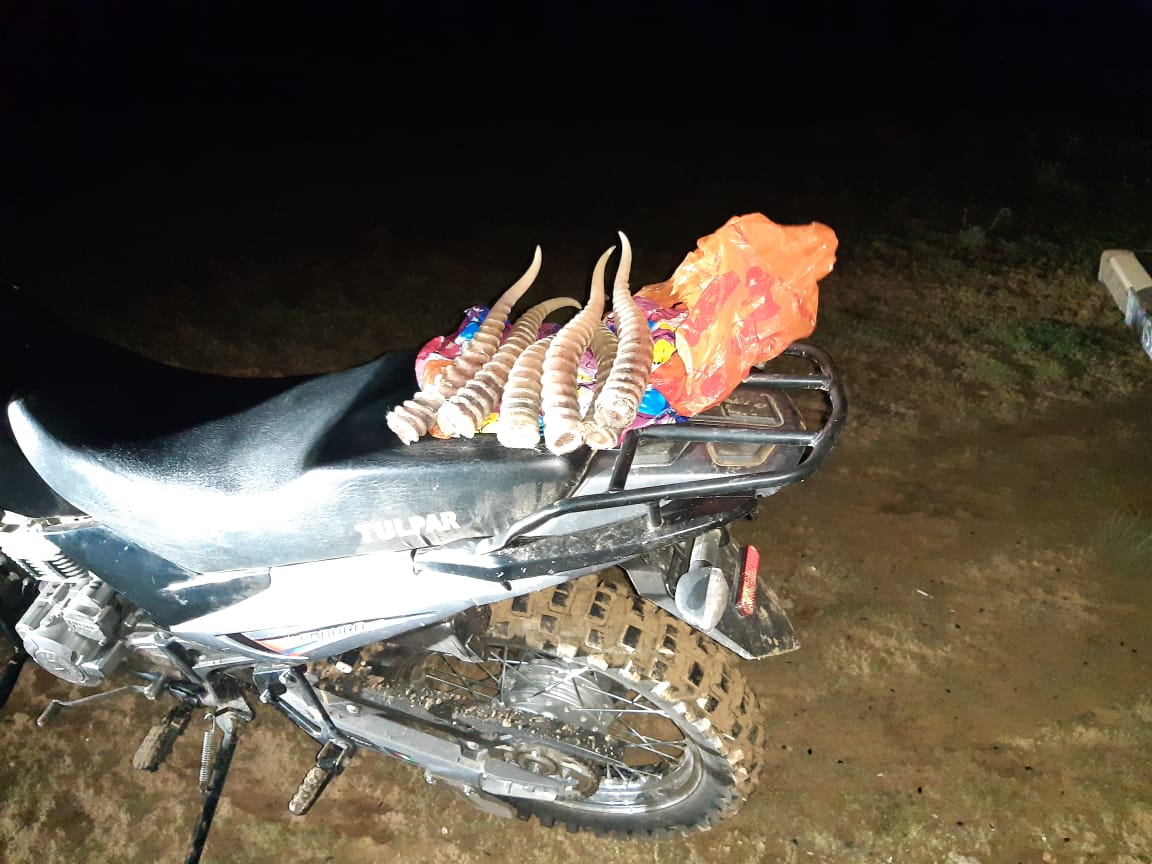 اقتوبەلىك ازاماتتىڭ كولىگىنەن كيىكتىڭ مۇيىزدەرى تابىلدى