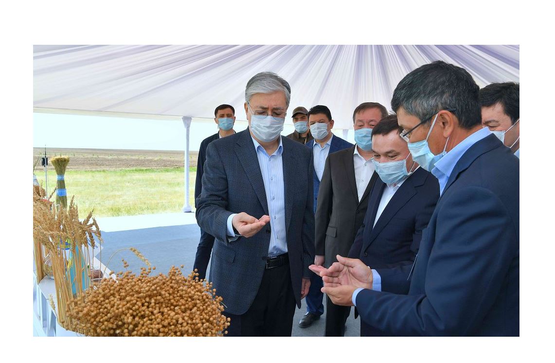 مەملەكەت باسشىسى كوكتەمگى ەگىس جۇمىستارىمەن تانىستى