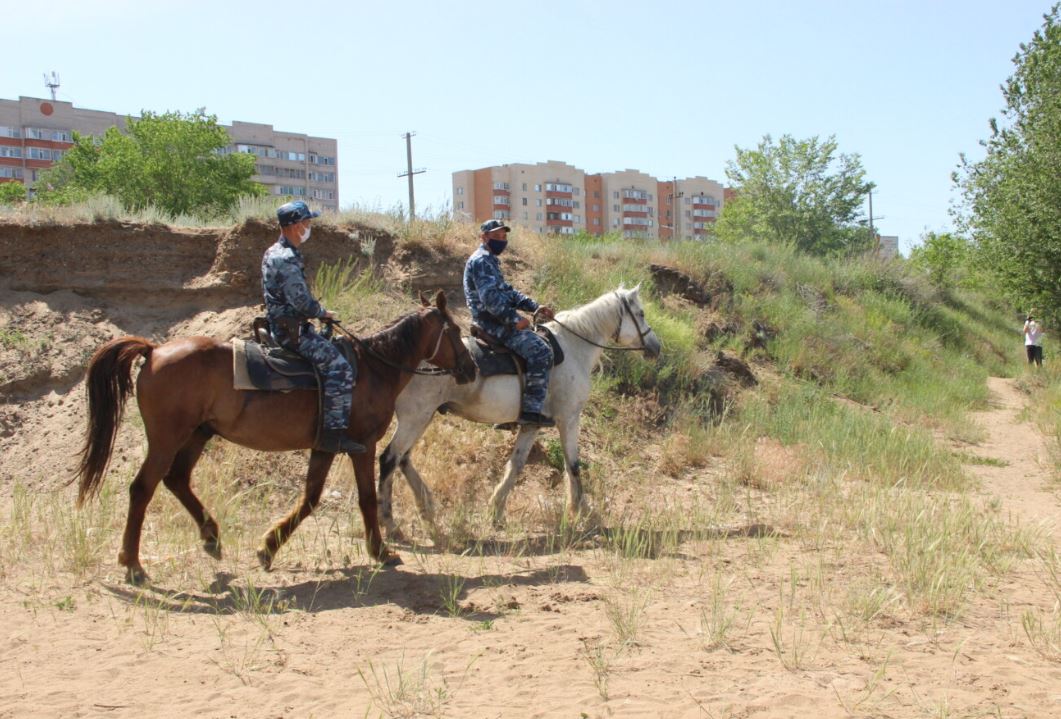 اتتى پوليتسەيلەر جاعاجايلار ماڭىن باقىلاۋعا كوشتى