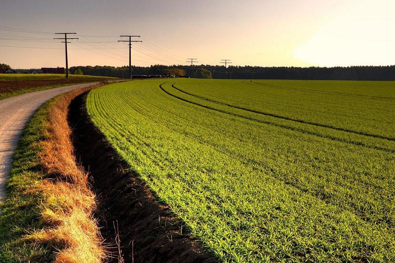 اقمولادا 898 مىڭ گەكتار جەر اينالىمعا ەنگىزىلدى