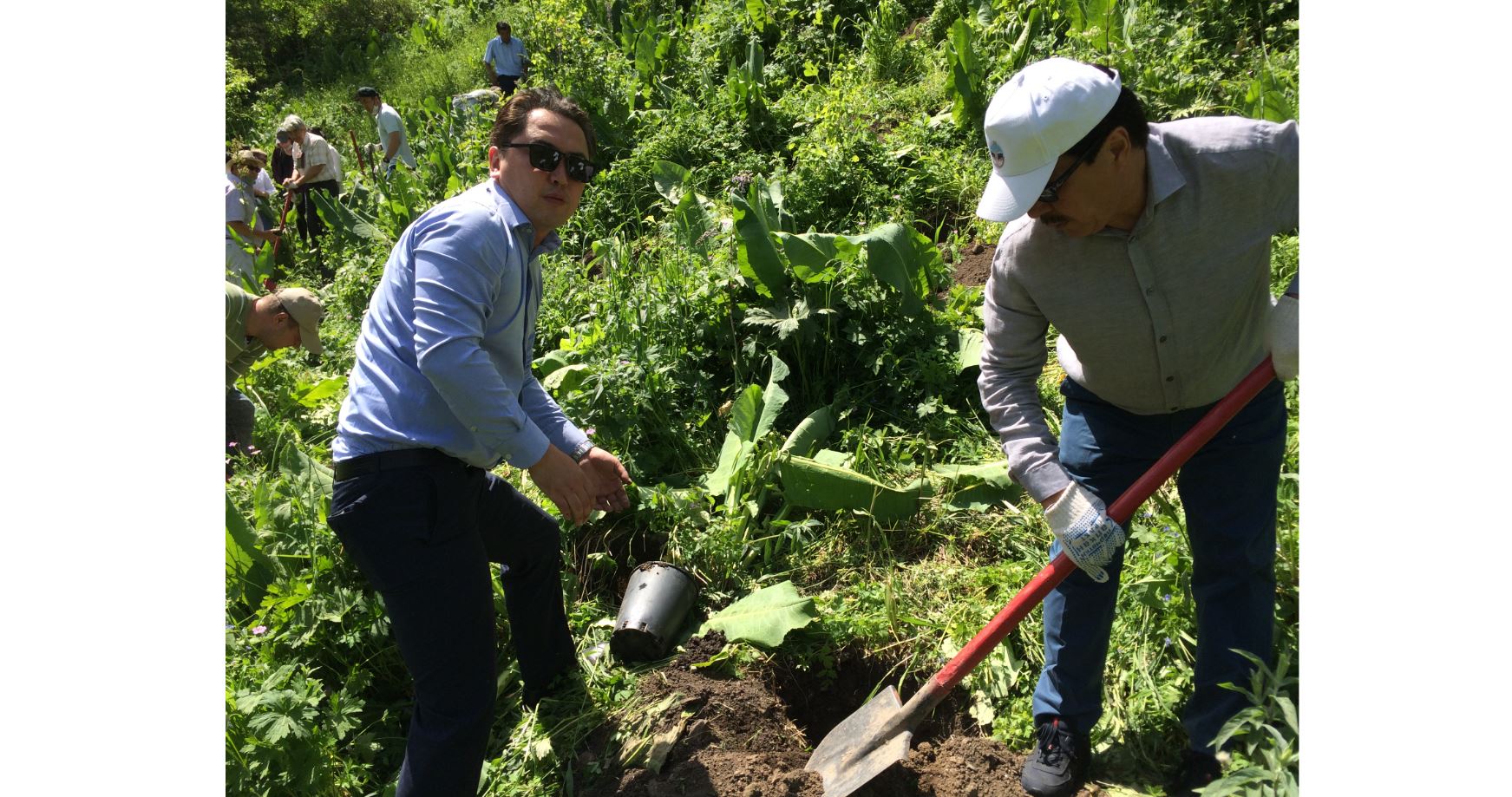 ىلە-الاتاۋ ۇلتتىق پاركىندە ەڭ كونە الما ءتۇرى بار