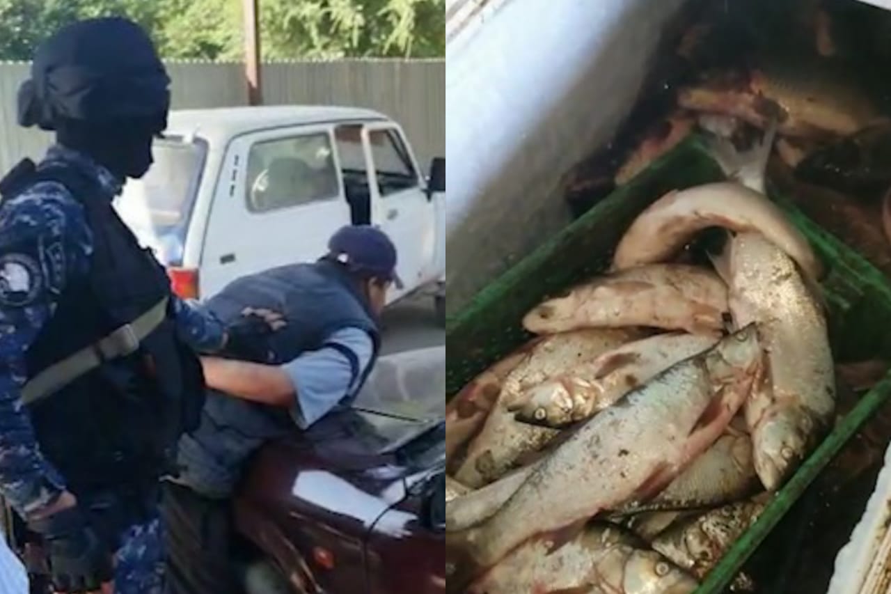 تۇركىستان: زاڭسىز بالىق اۋلاعان قىلمىستىق توپ ۇستالدى