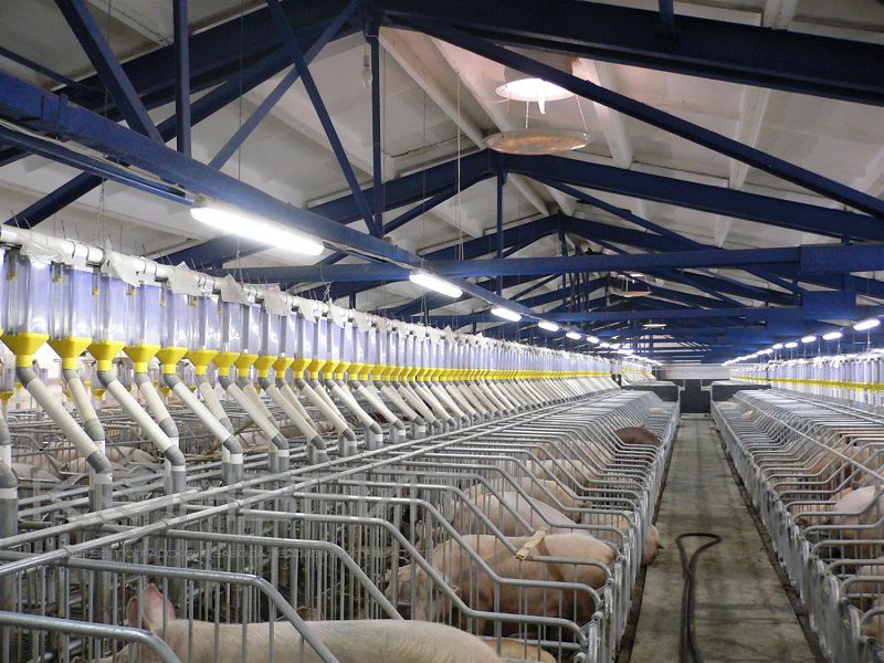 تالپاقتاناۋعا نارازىلىق كۇشەيىپ تۇر