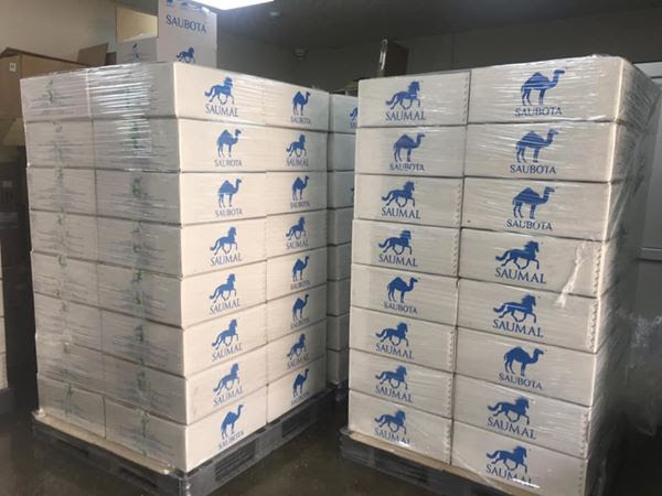 قىتايعا تۇيەنىڭ قۇرعاق ءسۇتىن جونەلتتى