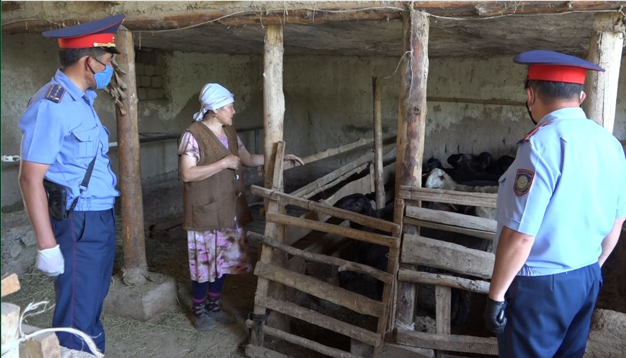 ەكى قىلمىستىق توپ ۇستالدى