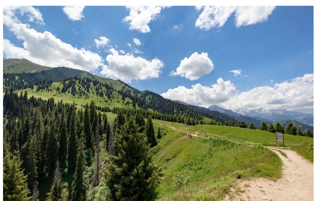 الماتىدا ەكوتۋريزمدى دامىتۋعا 1 ميلليون دوللار جۇمسالادى